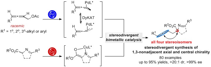 Nickel-Catalyzed Alkylation of Amide Derivatives